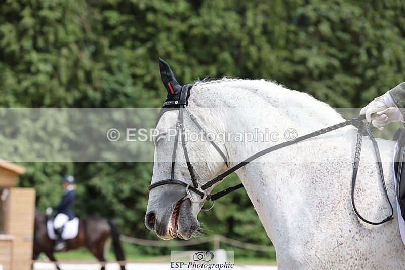 240721-150845-09622 - 192-Alison_Zuend-Il_Danubio
