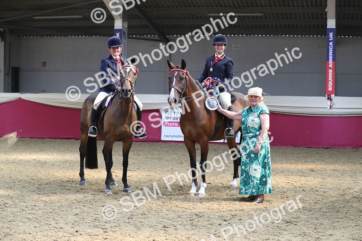 SBM_13765 - Class 109 Ridden Pairs - Section B