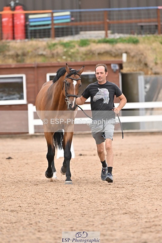 250716-160824-02443 - Trot Up 3.30 to 4.30