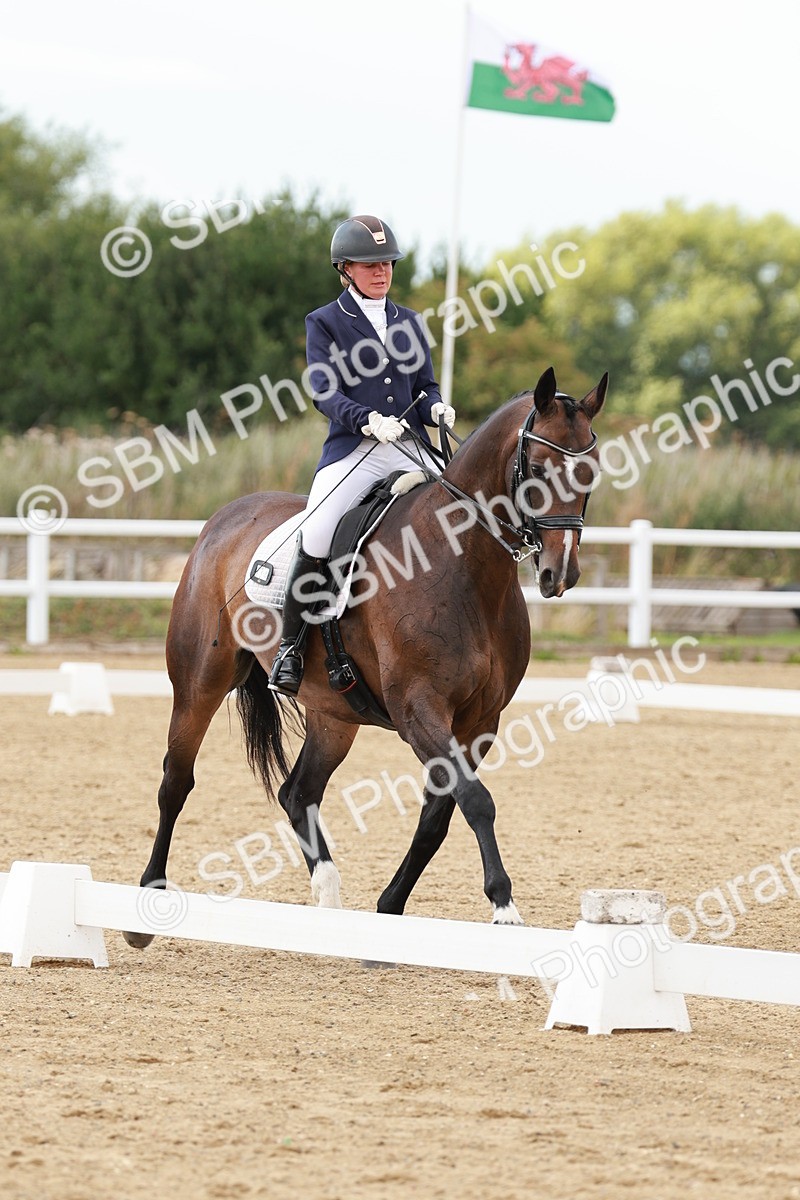 SBM_002413 - Class 11 - Medium 6