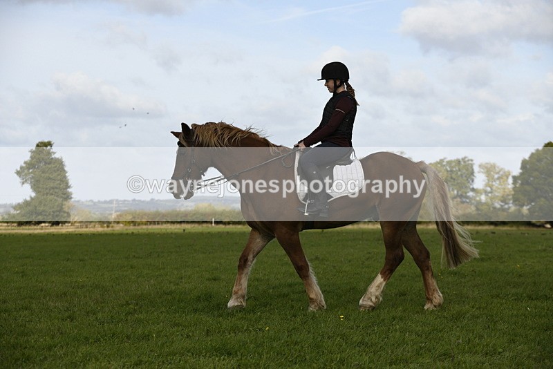 _DSC6111 - Time 11:23 to 12:05