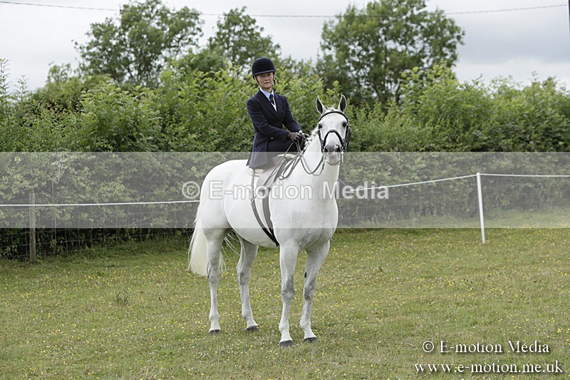 BVR160717-2383 - Side Saddle Classes 16/07/17