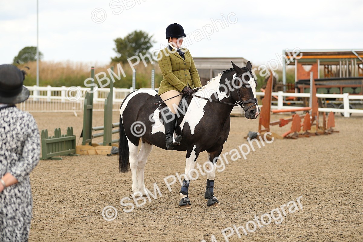 SBM_05181 - Class 47b Style & Performance 60cm (20+)