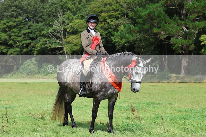 3E7A6159 - Working Hunter Championship