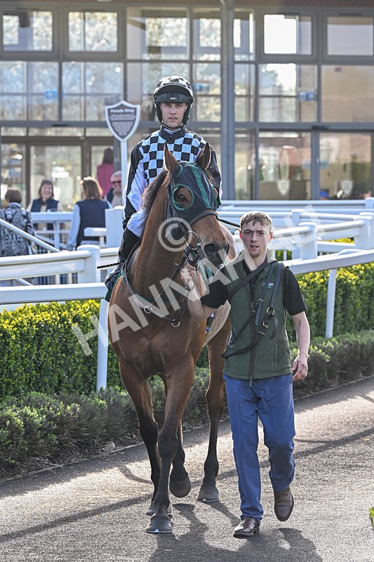 080426-Race 7-Sir Garfield-1283 - Race 7