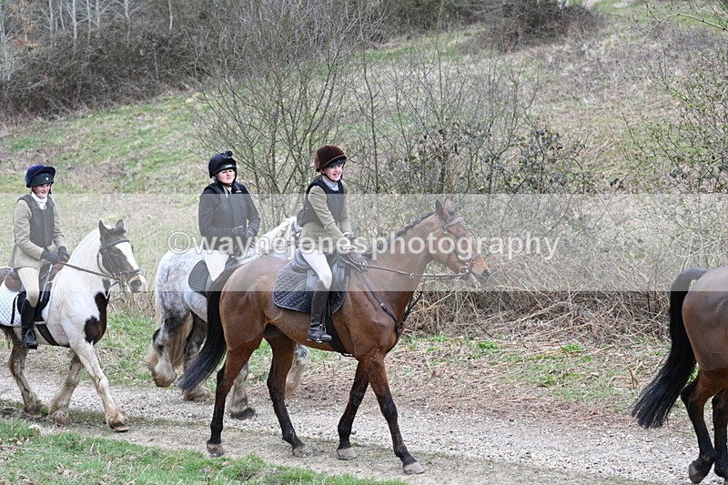 WJ7_7391 - Walk Home