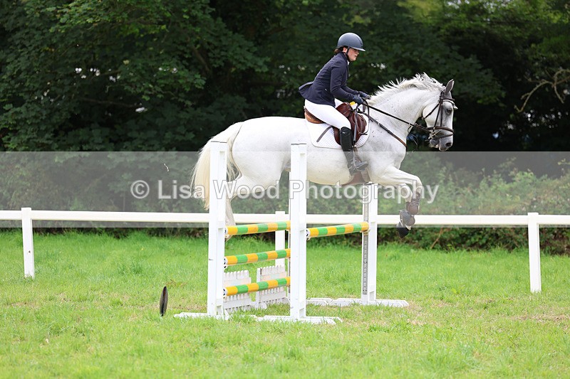 3E7A7070 - Class 5: Senior British Novice/90cm open