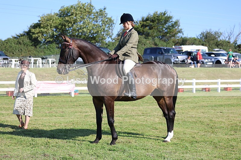 3E7A5556 - Class 2: Rising Star Large Hack/Riding Horse