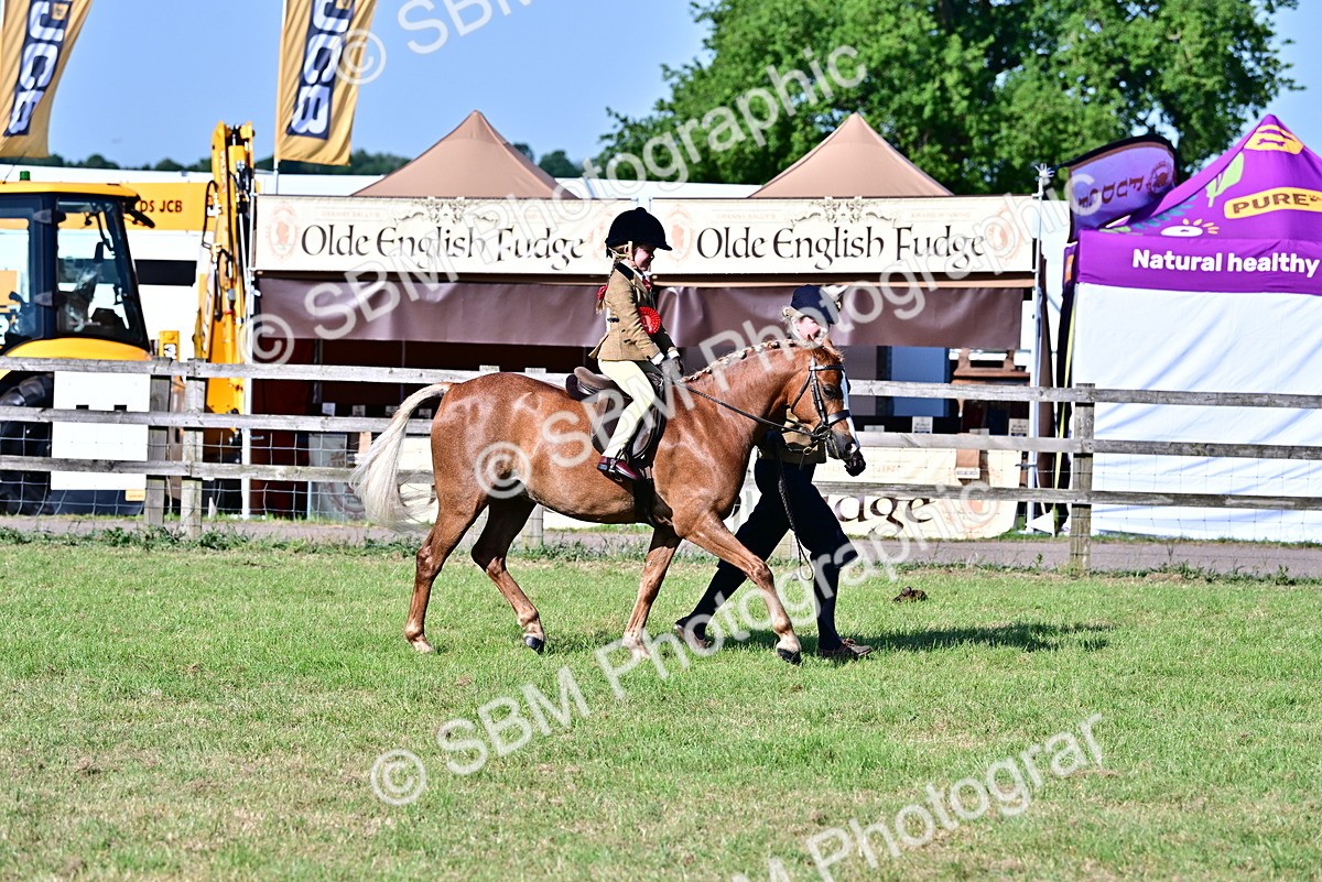 SBM_19835 - Class 103 - 105 - TSR Ridden Amateur of the Year Plaited Ponies
