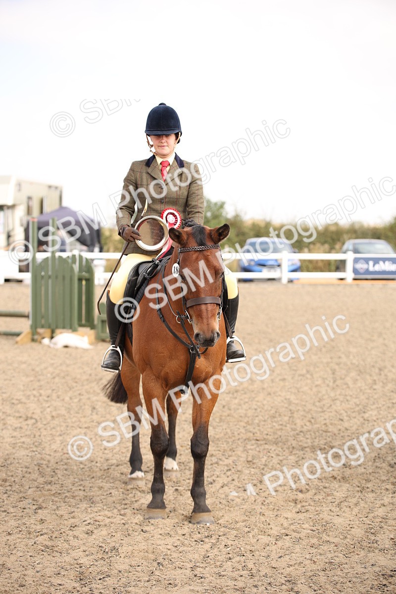 SBM_12927 - Class 406a - Working Veteran 50cm (15-19)