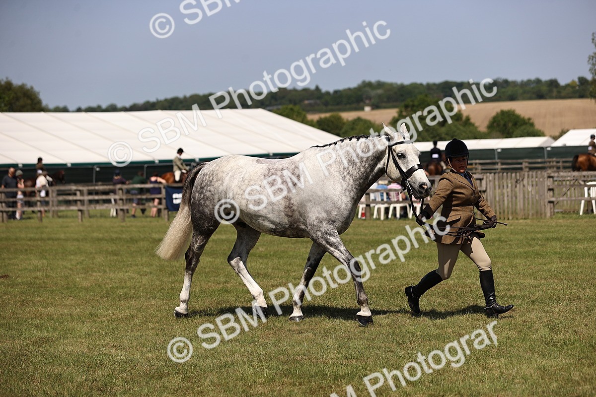 SBM_17769 - Class 81-83 - TSR Ridden Amateur of the Year - Horses