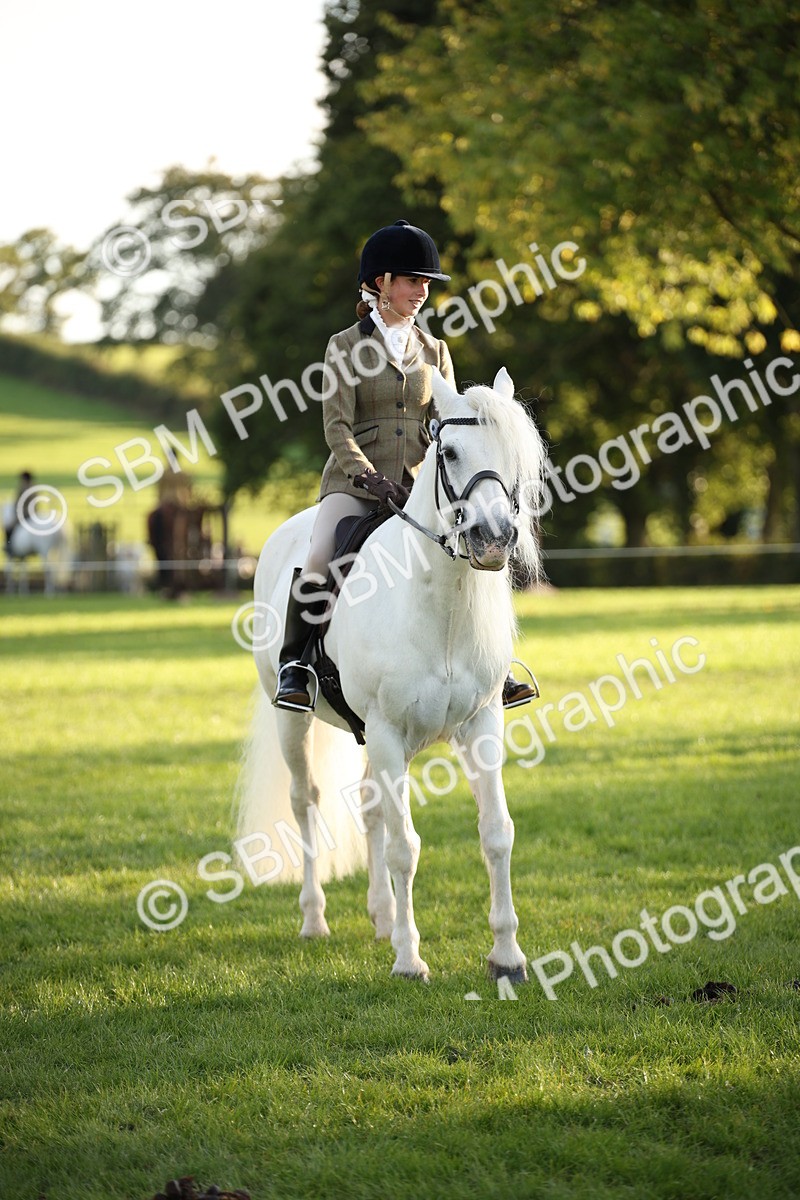 SBM_54446 - S27 - Mature Veteran - Ridden