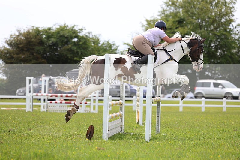 3E7A1843 - Class 13: Senior British Novice/90cm open