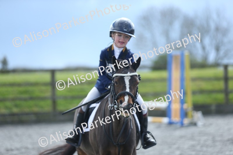 20260412-1815 - Show Jumping