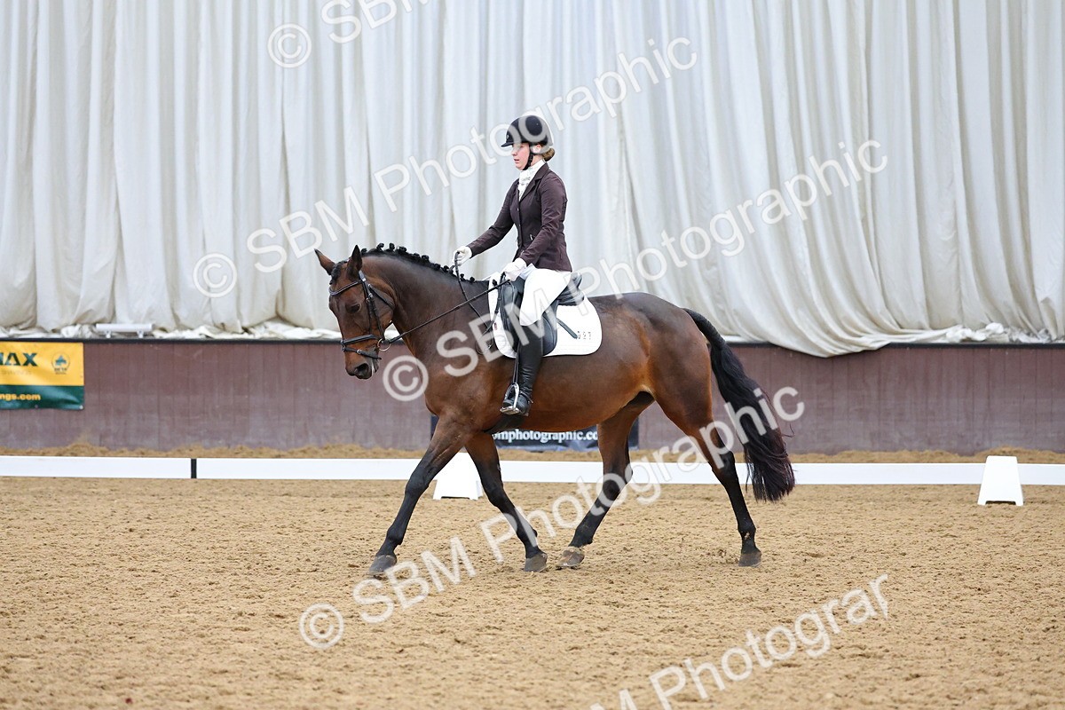 SBM_002008 - Class 5 - Novice 3