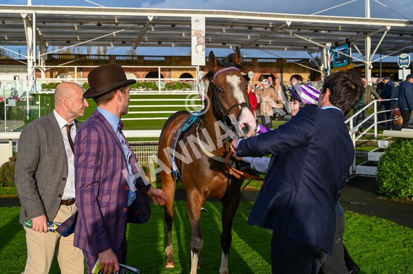 131023-Race 6-Wen Moon-8287 - Race 6 5.00pm Copper Knight - Winning Most Horse At York Handicap