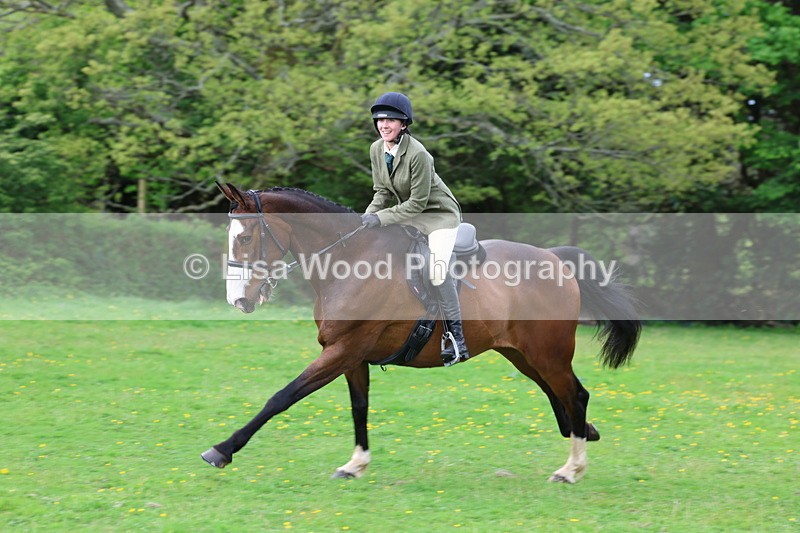 3E7A2510 - Classes 30 and 31: 80cm Working Hunter