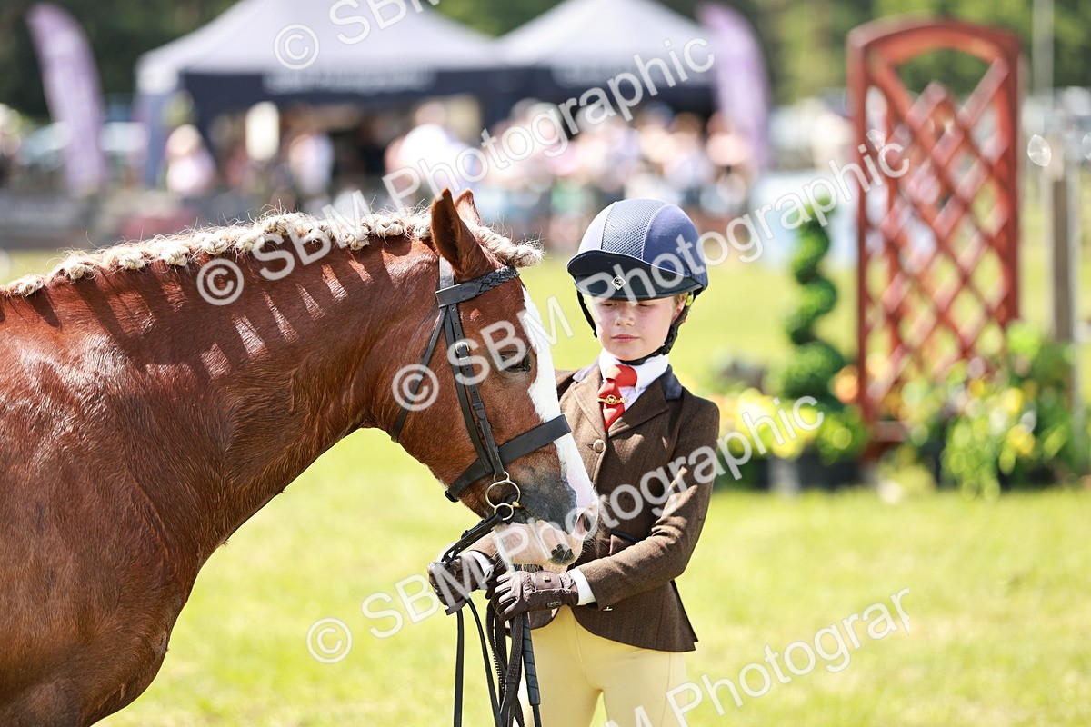 SBM_15615 - Class 108-109 - BSPS LIHS Open Gradle & Nursery Stakes