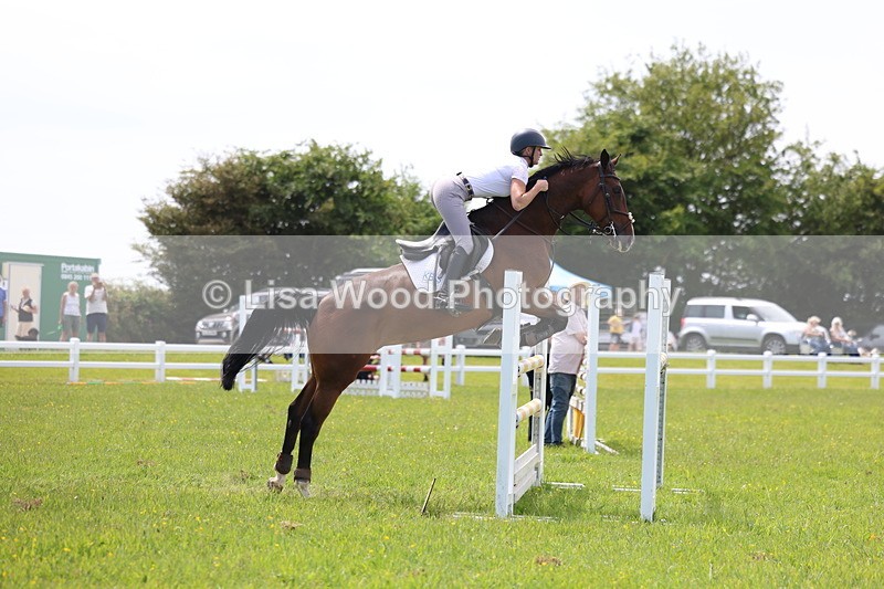 3E7A1410 - Class 12: Senior Foxhunter/1.20 open