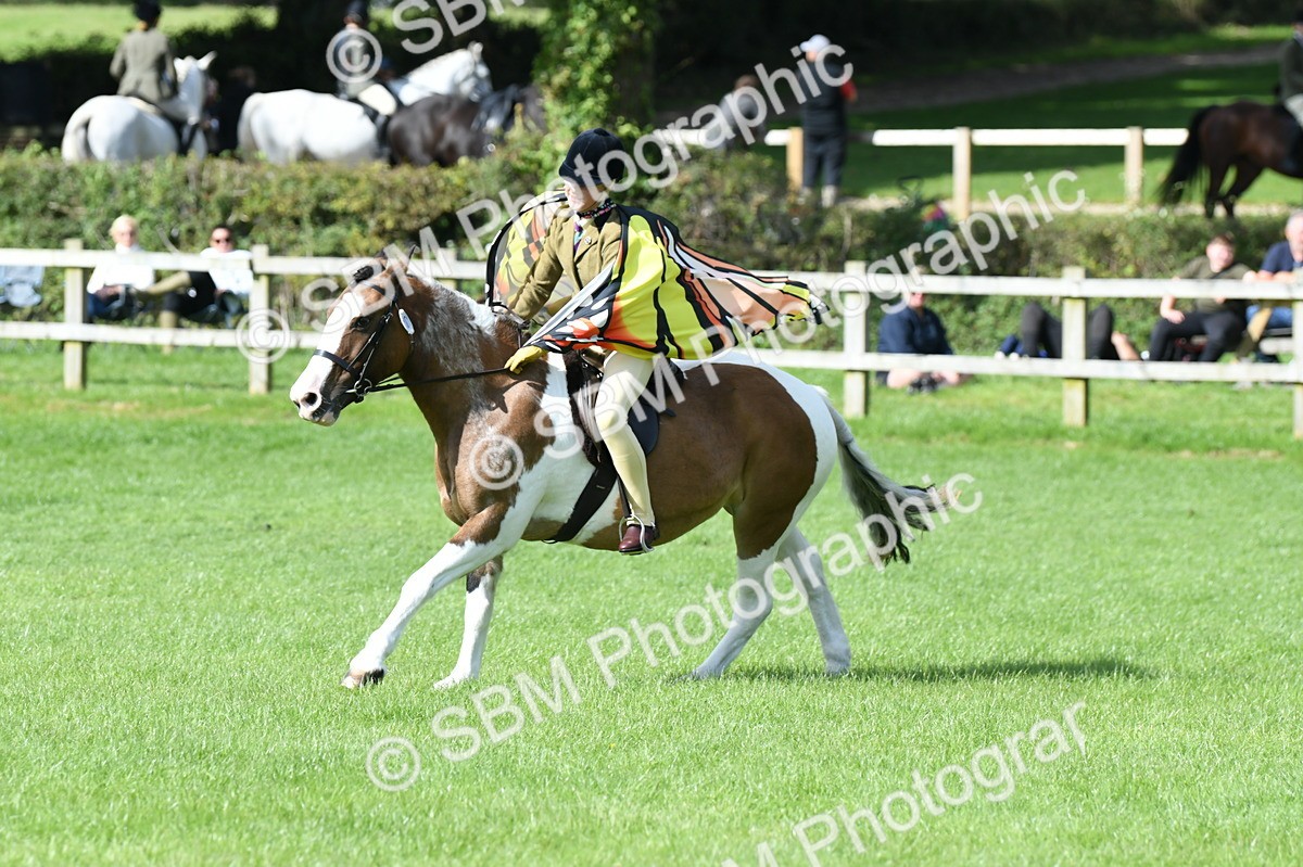 SBM_47116 - S12 - Family Horse & Pony