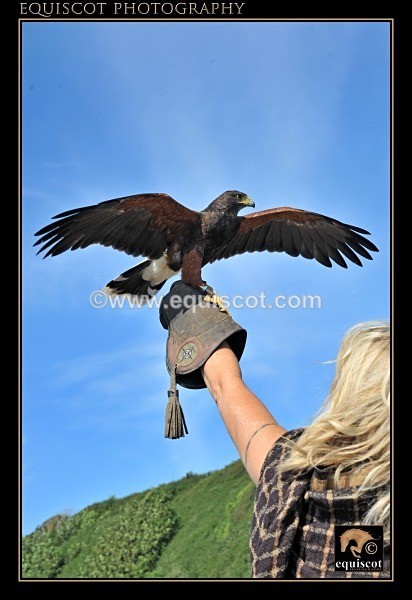 equiscot 1545 - MMi - Clan Wallace Movie Mercenaries International