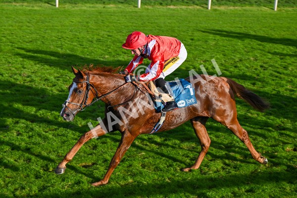 111025-Race 6-Berkshire Sundance-9048 - Race 6 Coral Racing Club Stayers Handicap at York
