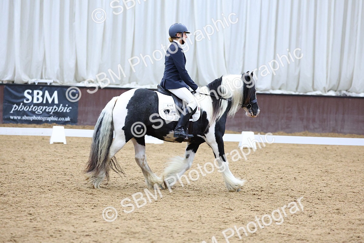 SBM_004786 - DTM PYO