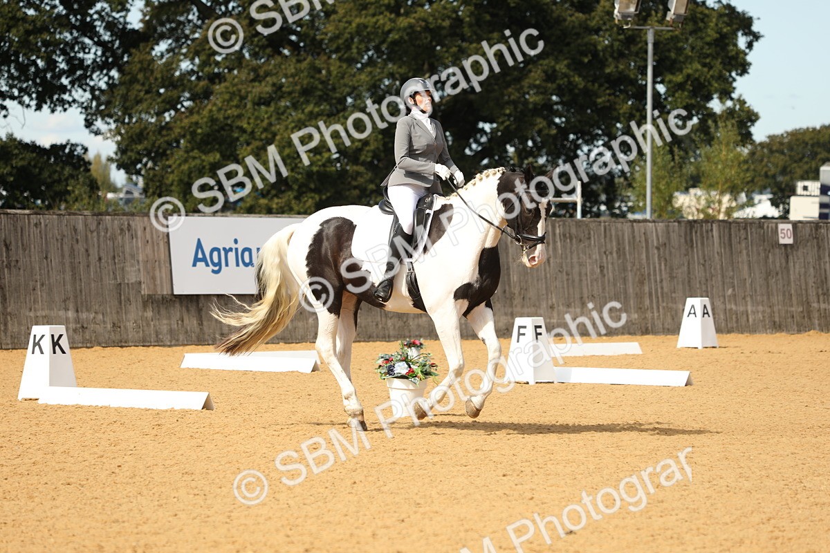 SBM_22236 - D17 - Grand Tour Championship - Novice 27