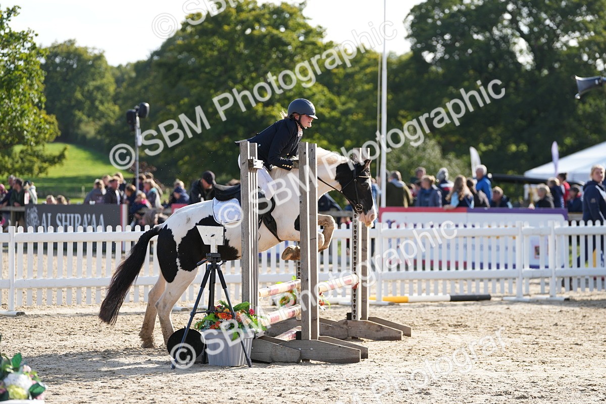 SBM_49424 - J8 - Junior Pony 65cm Championship