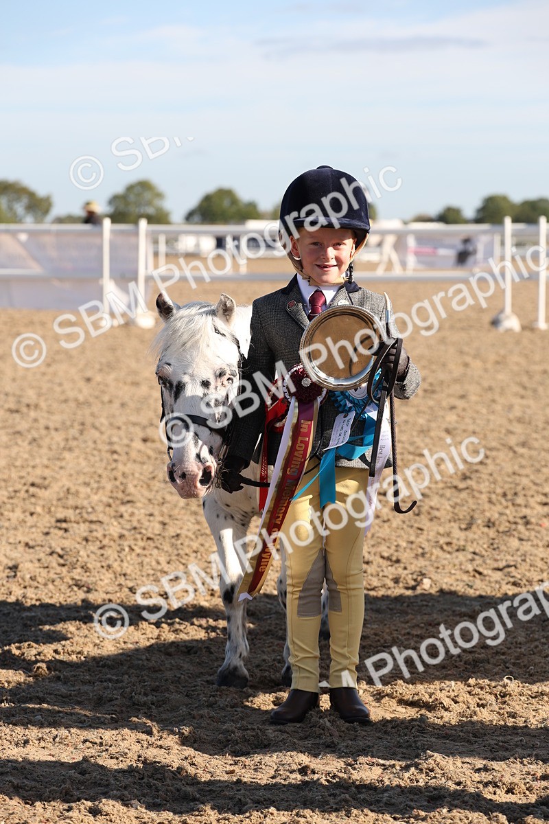 SBM_11693 - Class 203 - Young Handler 11 to 16 years