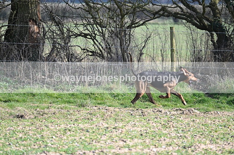 WJ7_5698 - Camera A