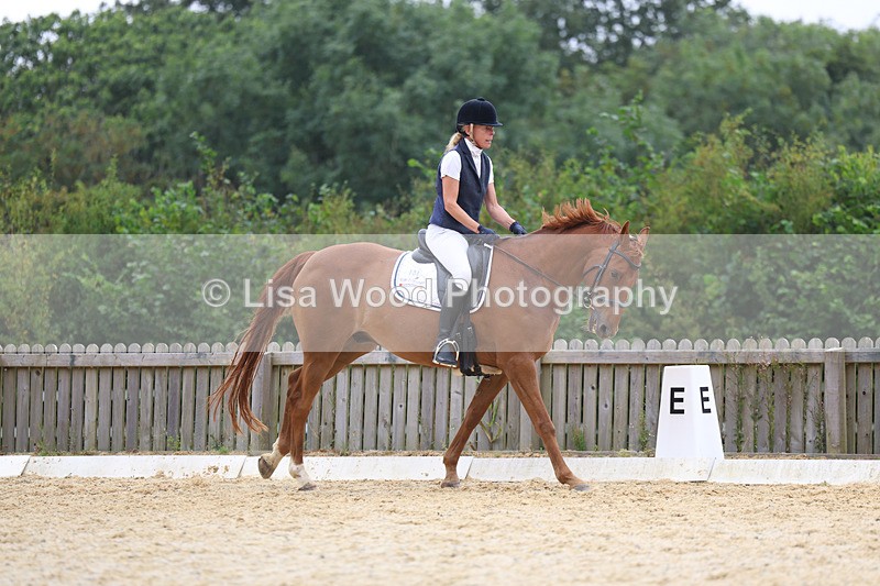 3E7A7447 - Class 9: Elementary 4 2024 - No sections