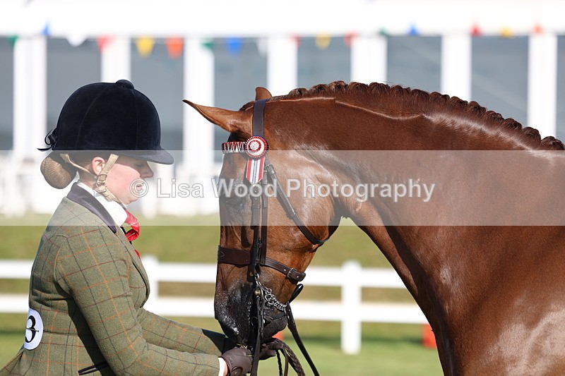 3E7A5135 - Class 1: Rising Star Small Hack/Riding Horses
