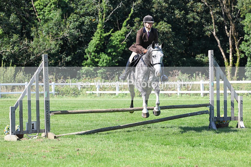 3E7A8273 - Class 4: Novice working Hunter