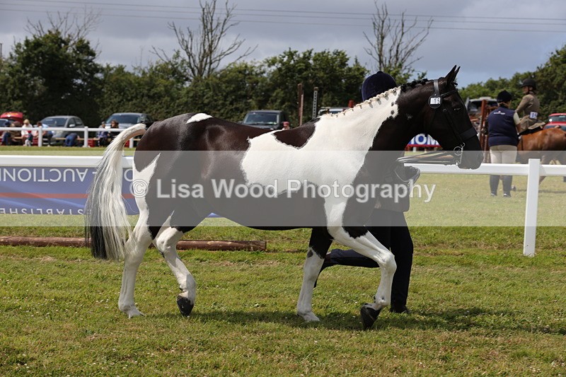 1X9A4733 - Class 35: Veteran In Hand