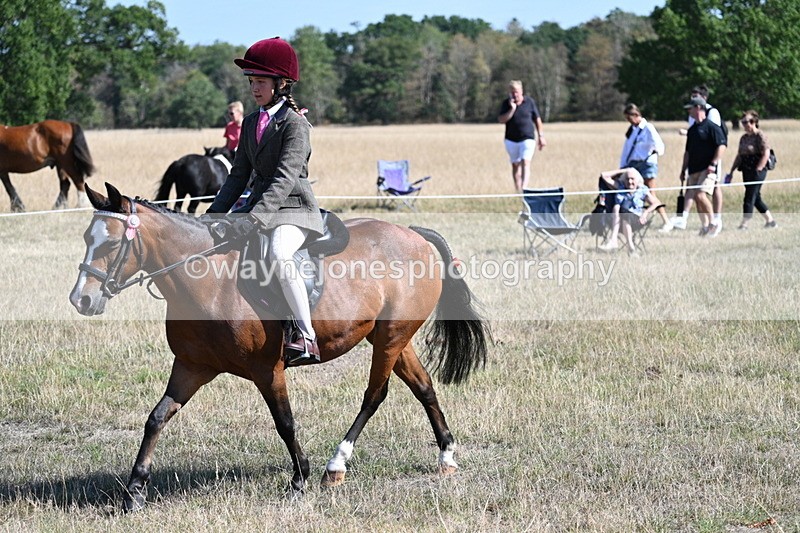 WJ7_4078 - Class 9 Mountain & Moorland Ridden