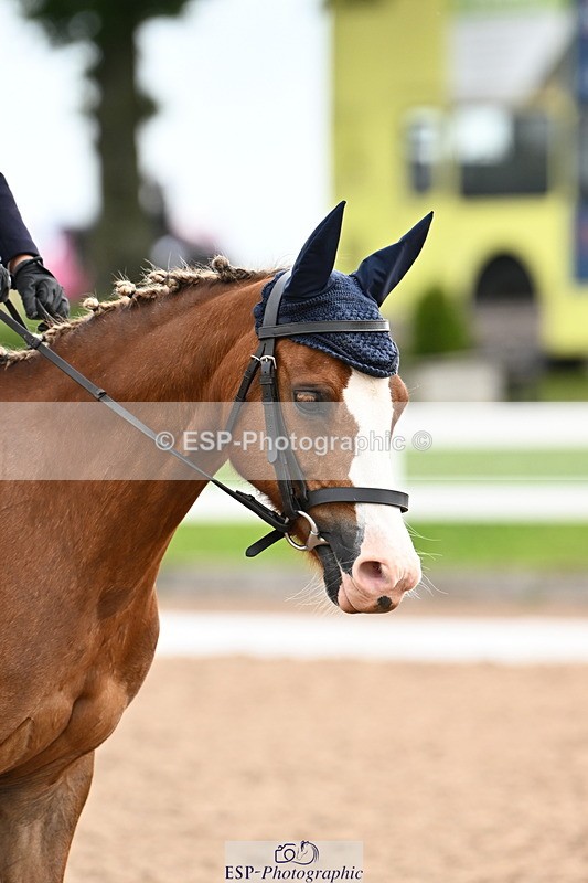 240623A-091008-15956 - Cls 25+26 Quest Intro A