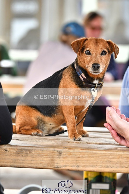 230817-153941-03108 - Presentations