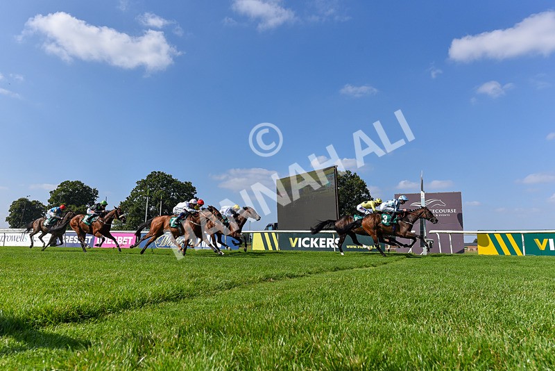 300824-Race 3-Cerulean Bay-5164 - Race 3