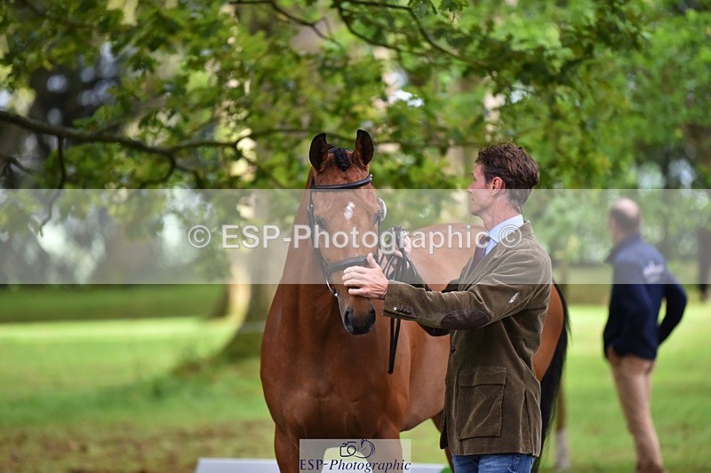 240522-171744-01510 - 264-BLS_ABSOLUTELY-William_Fox-Pitt