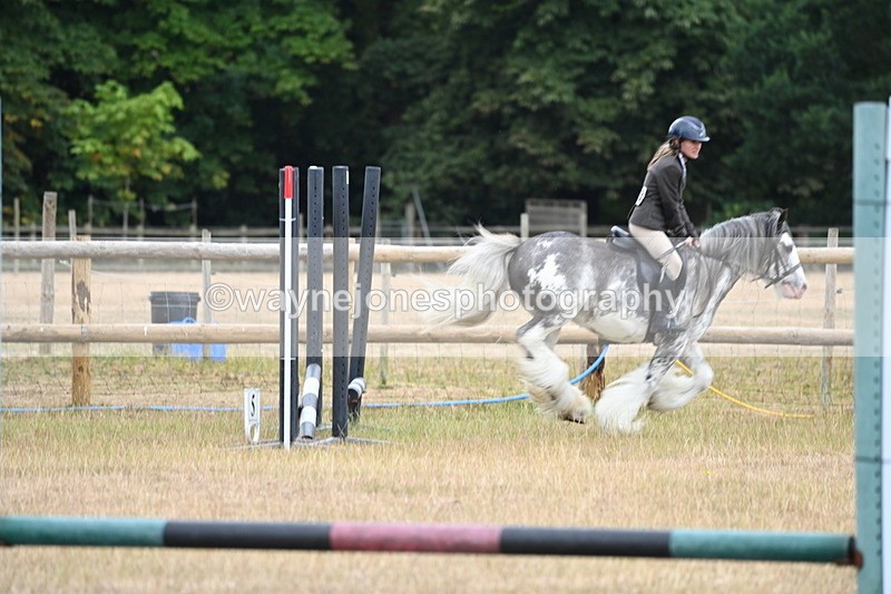 WJ6_9639 - Class 12 Minimus Jumping 45cm