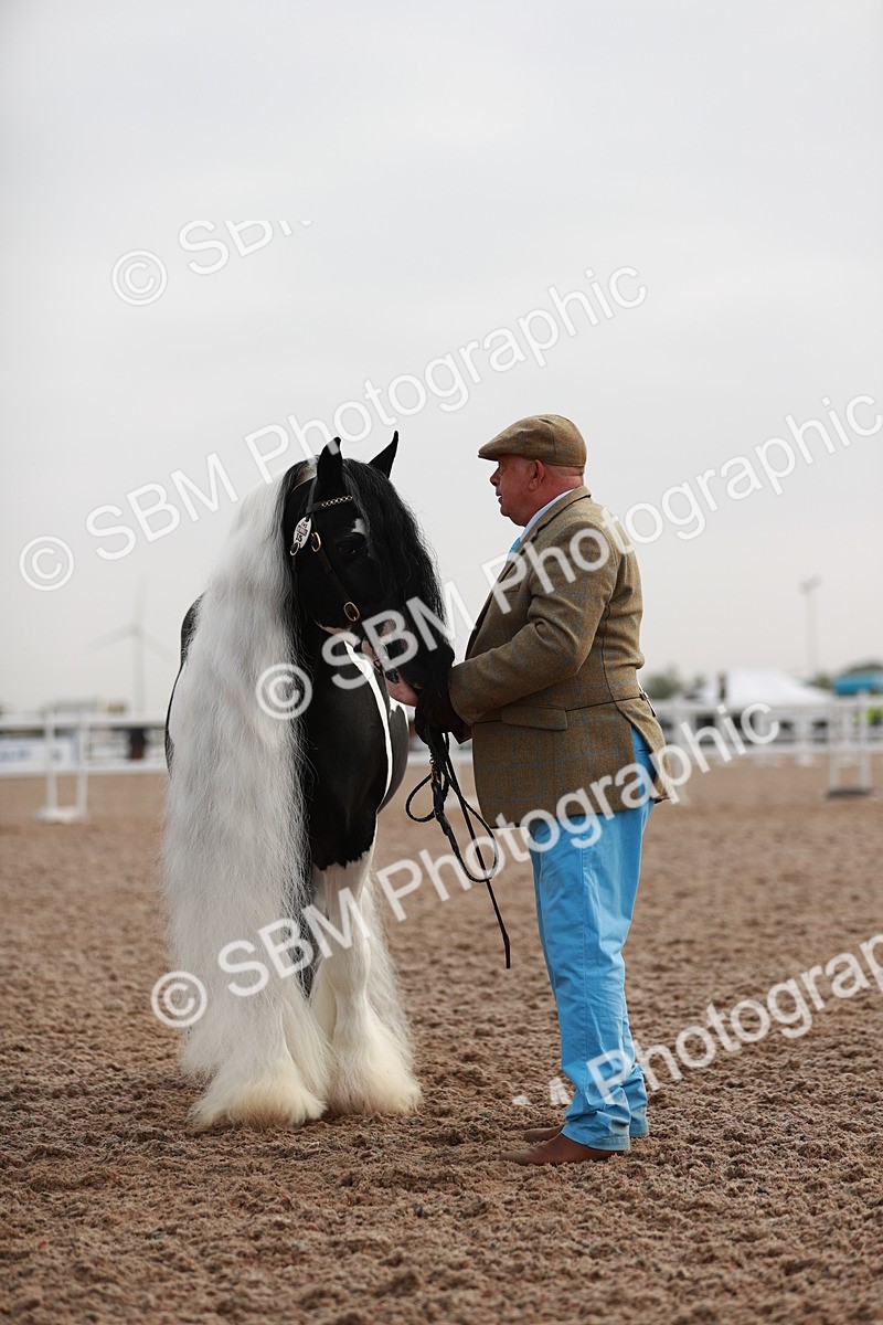 SBM_09515 - Class 201 Best Turned Out IH