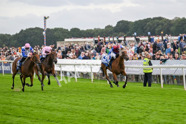 220824-Race 4-Content-7381 - Race 4 3.35pm Pertemps Network Yorkshire Oaks