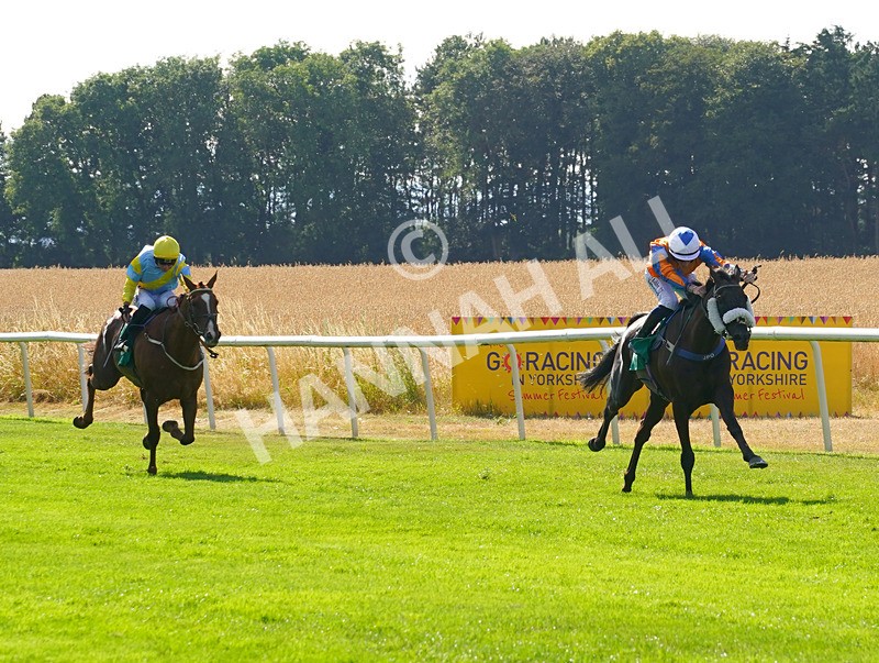 240726-Race 6-Sixty Plus-01814 - Race 6 16.53pm JW4X4 Northallerton Handicap