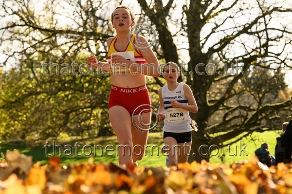 NatRel25-913615 - Young Female Set Two