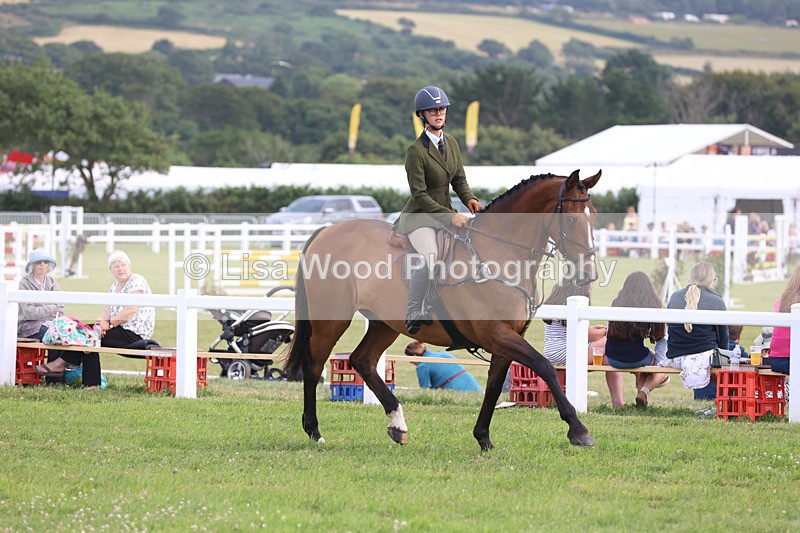 JPP_4476 - Class 26: Working Hunter 1m