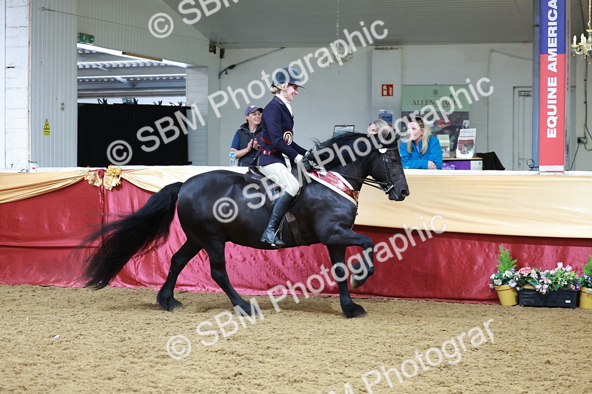 SBM_18916 - Class 952 - M&M Ridden Supreme Final