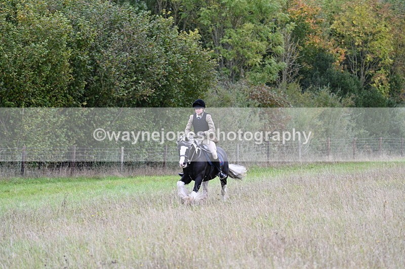 WJ7_3959 - Camera 1 Line 1