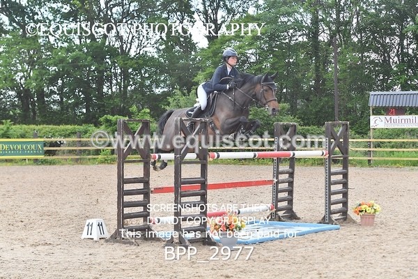 BPP_2977 - SUN CLASS 21 National 1.30m Open