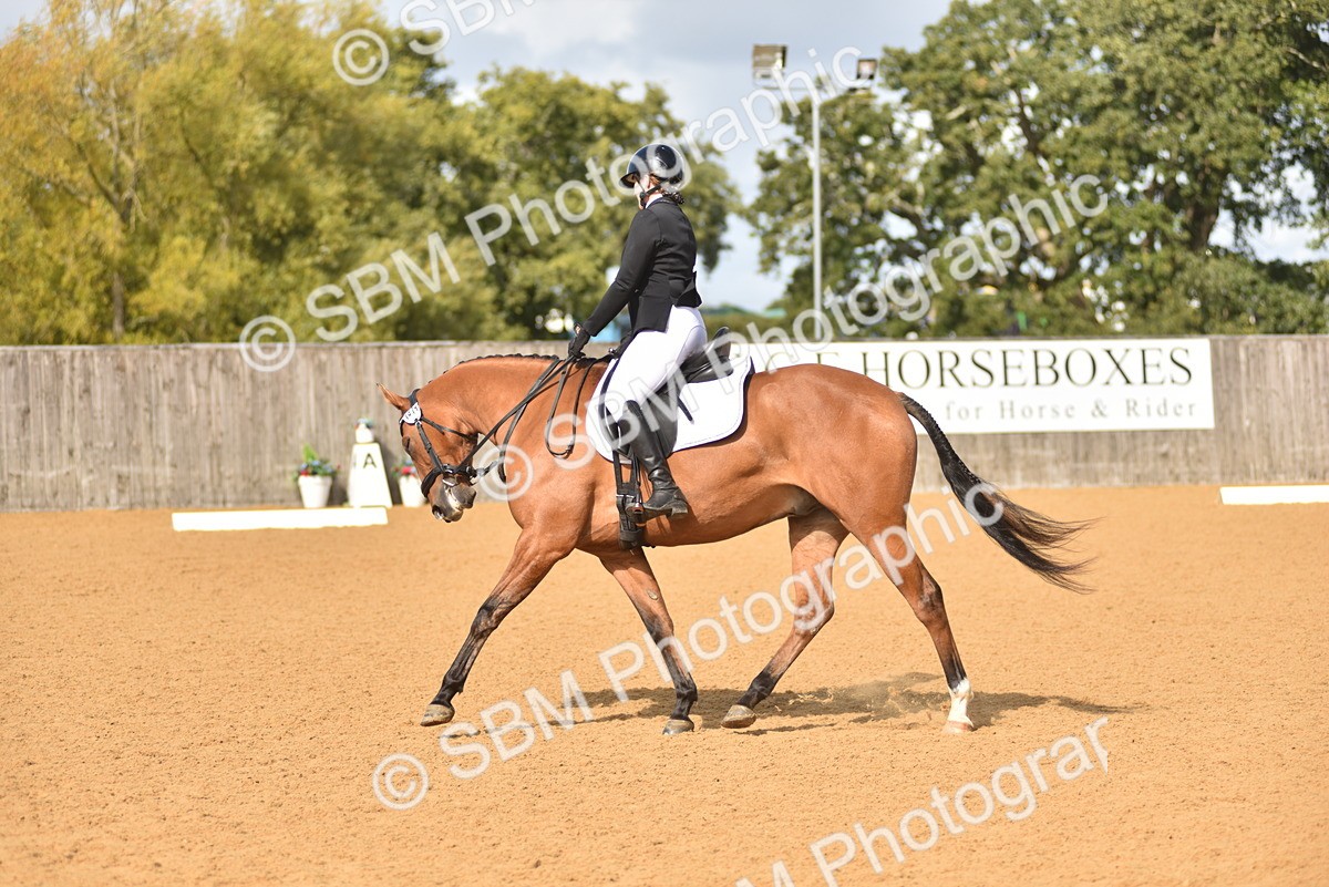 SBM_03062 - D4 - Small Tour Championship Intro 4